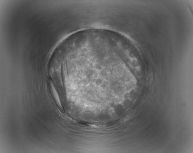 X0000082171271200702162251