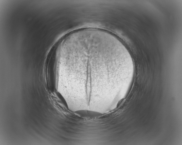 X0000082171272200702162251