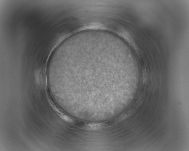 X0000082171274200702162251