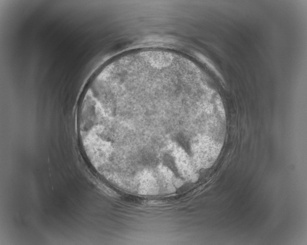 X0000082171275200702162251