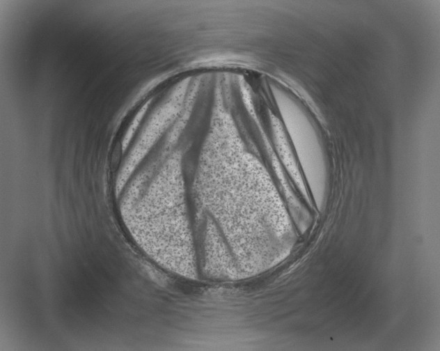 X0000082171277200702162251