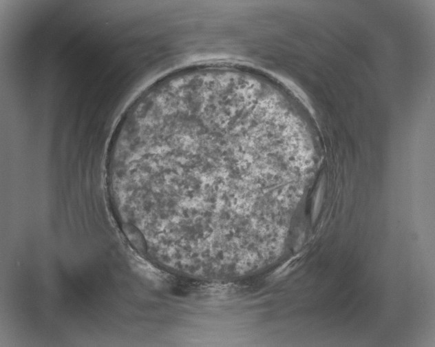 X0000082171279200702162251