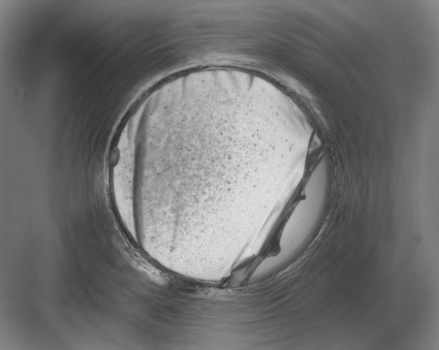 X0000082171280200702162251