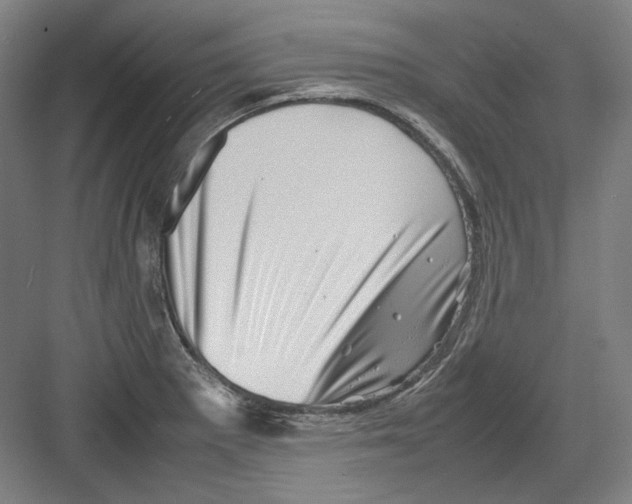 X0000082171281200702162251