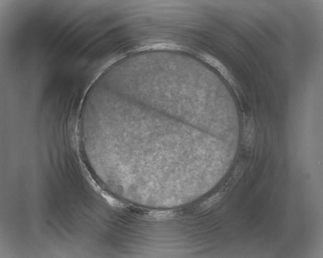 X0000082171282200702162251