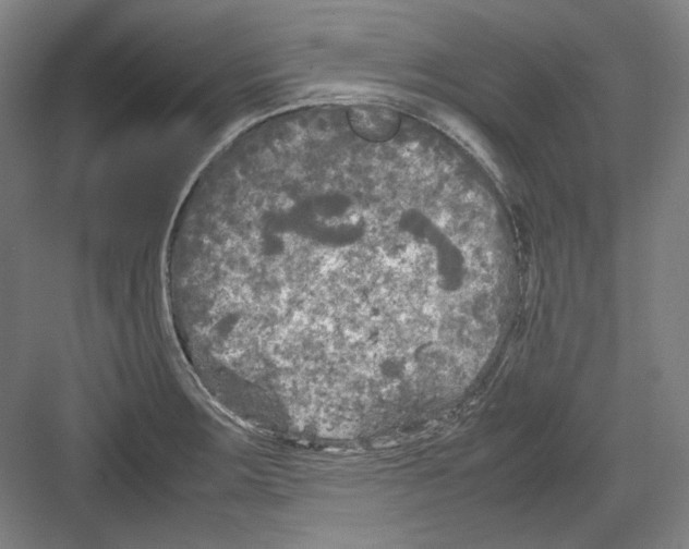 X0000082171283200702162251