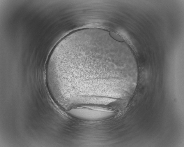 X0000082171284200702162251