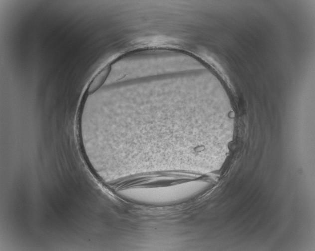 X0000082171285200702162251