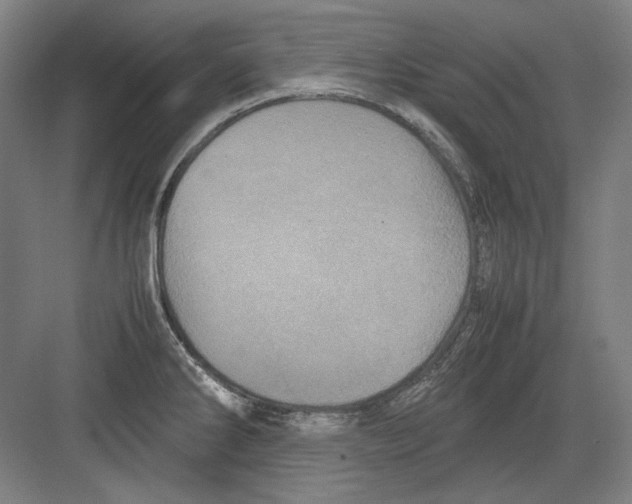 X0000082171286200702162251