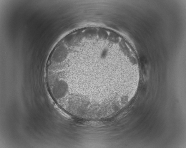 X0000082171287200702162251