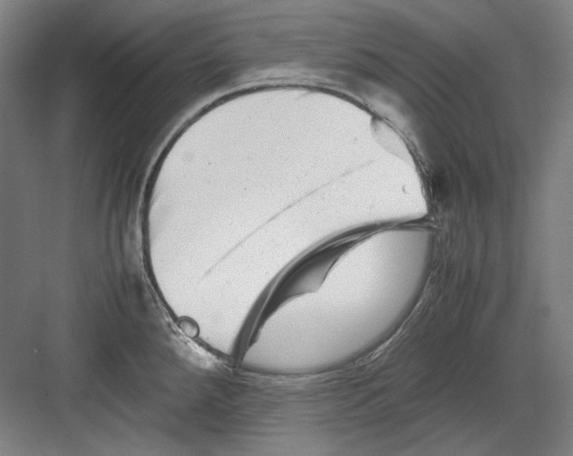 X0000082171288200702162251