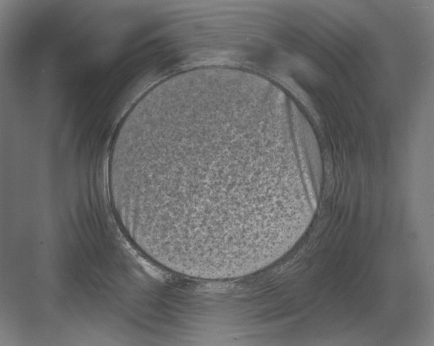 X0000082171290200702162251