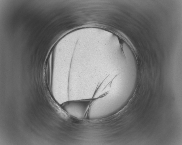 X0000082171292200702162251