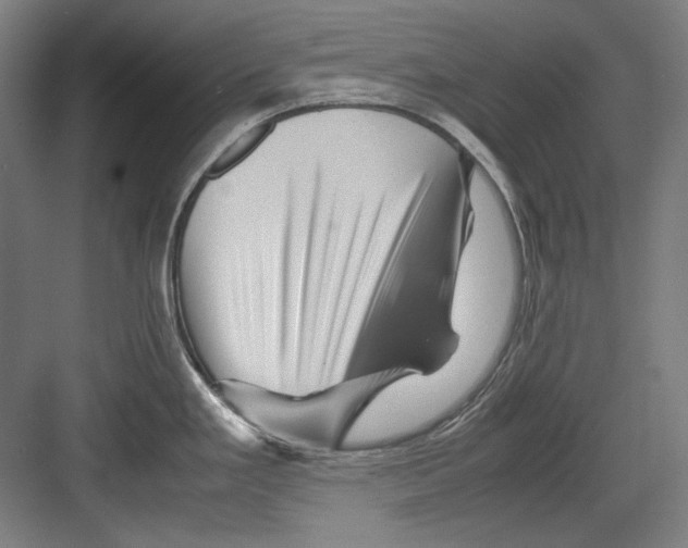 X0000082171293200702162251