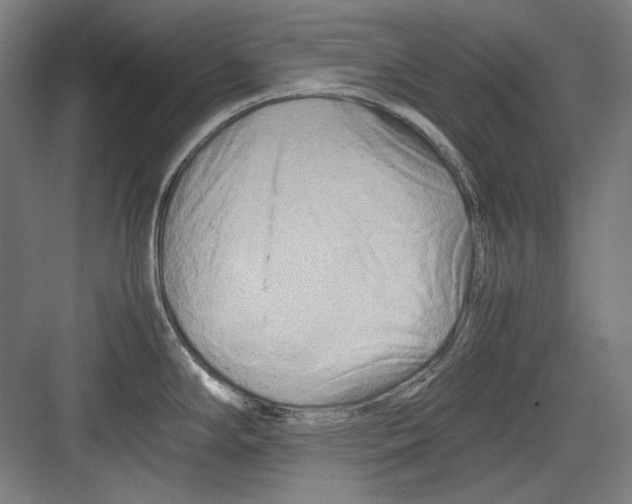 X0000082171294200702162251