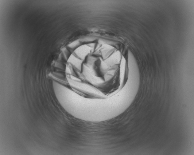 X0000082171298200702162250