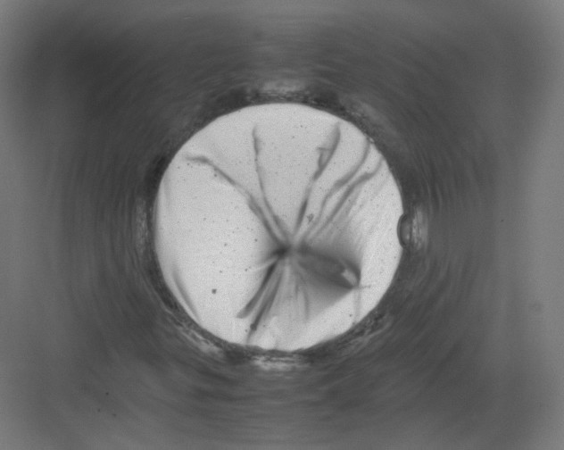 X0000082171299200702162250