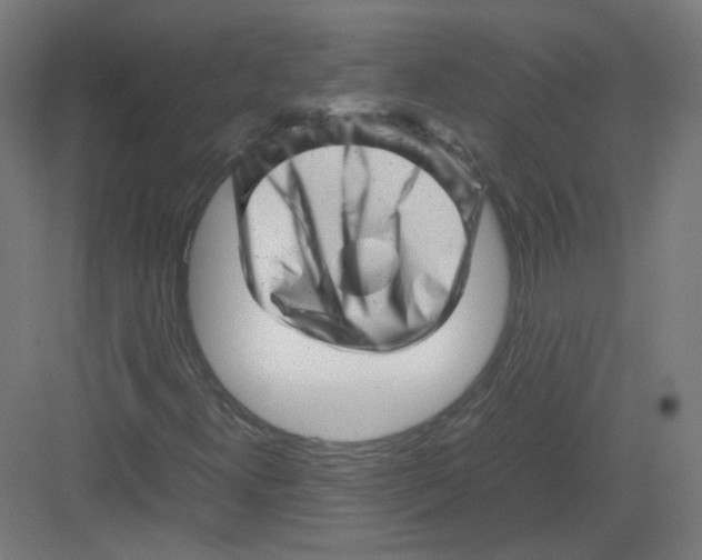 X0000082171300200702162250