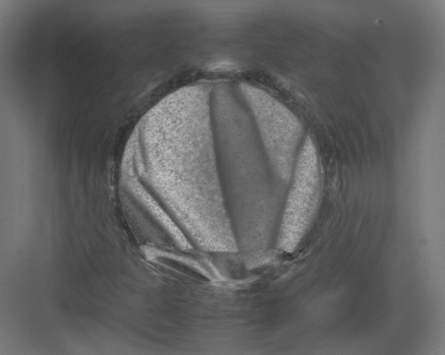 X0000082171301200702162250