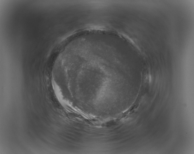 X0000082171303200702162250