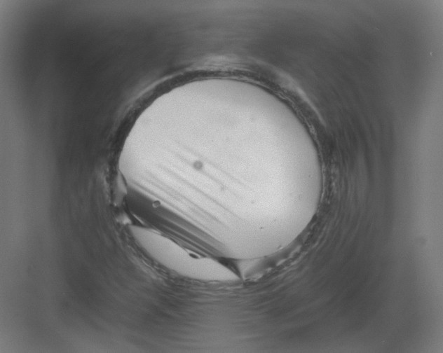 X0000082171304200702162250