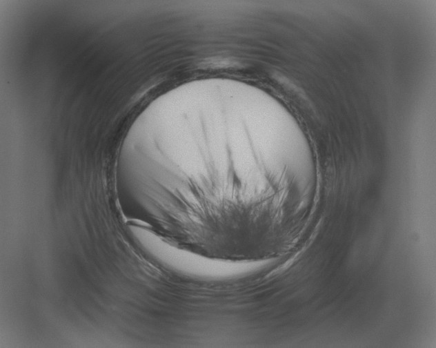 X0000082171305200702162250
