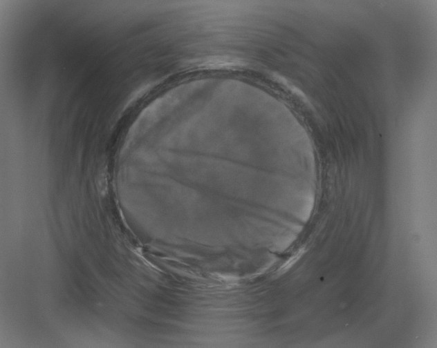 X0000082171306200702162250