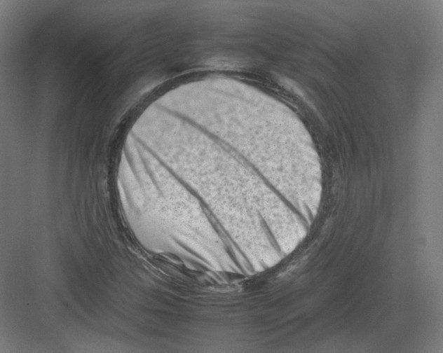 X0000082171307200702162250