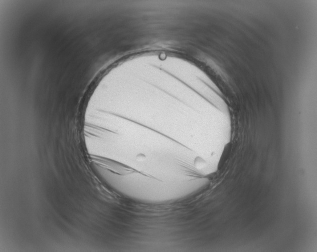 X0000082171308200702162250