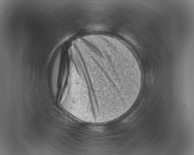 X0000082171309200702162250