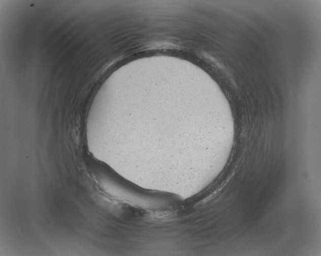 X0000082171313200702162250