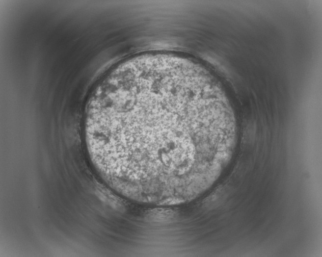 X0000082171314200702162250