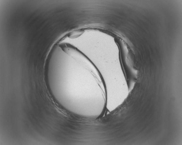 X0000082171316200702162250