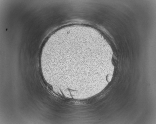 X0000082171318200702162251