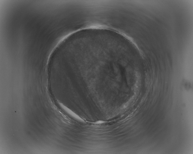 X0000082171319200702162251