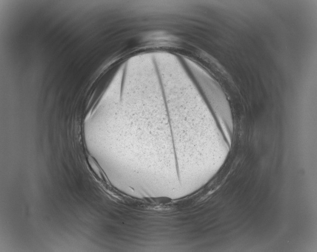 X0000082171321200702162251