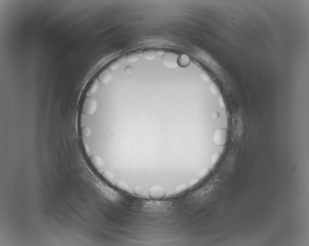 X0000082171322200702162251