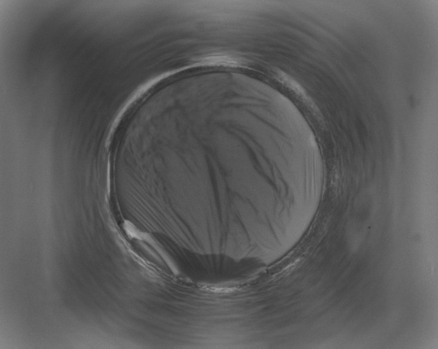 X0000082171323200702162251