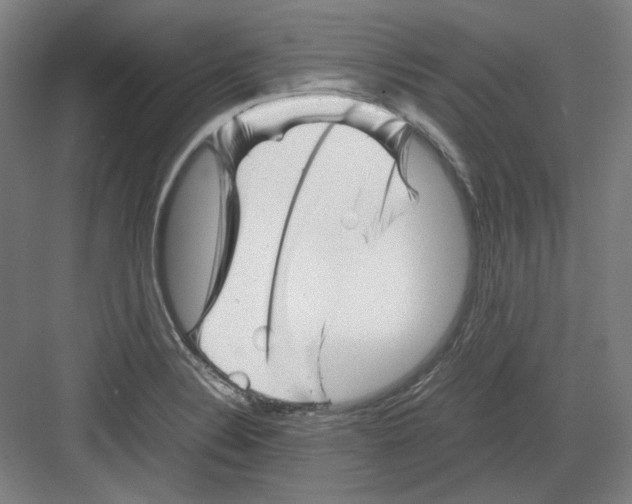 X0000082171324200702162251