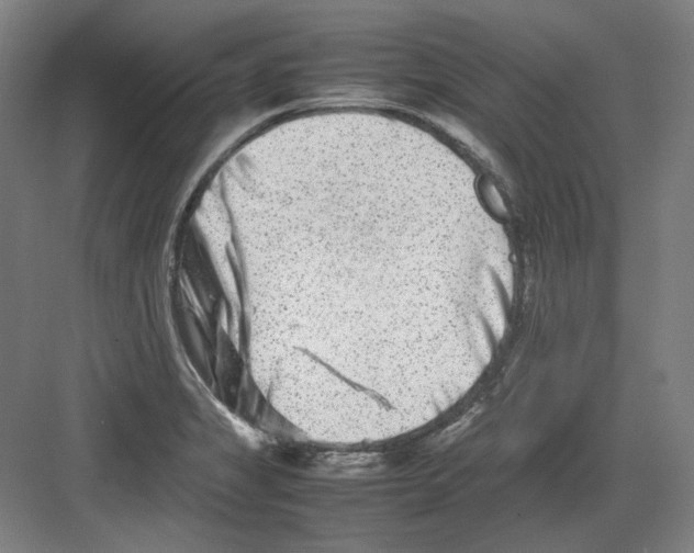 X0000082171325200702162251