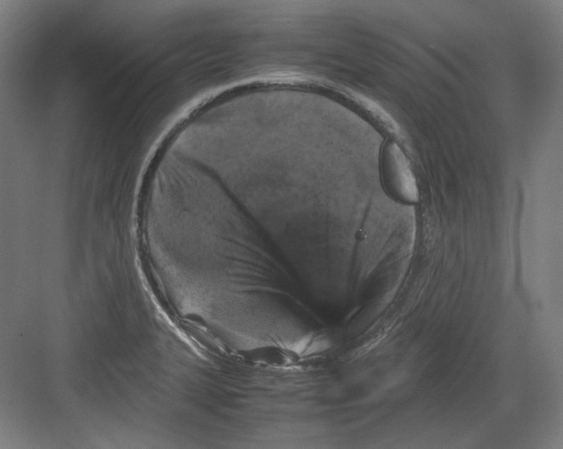 X0000082171327200702162251