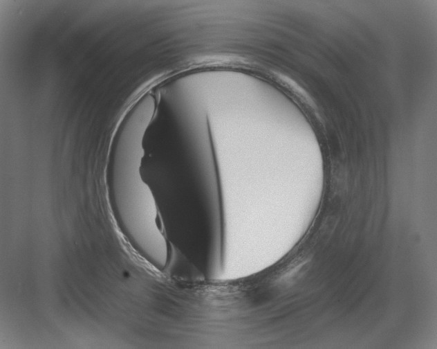 X0000082171330200702162251