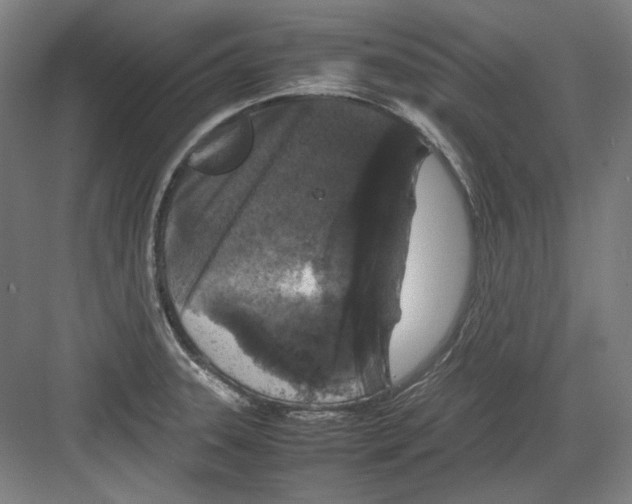 X0000082171331200702162251