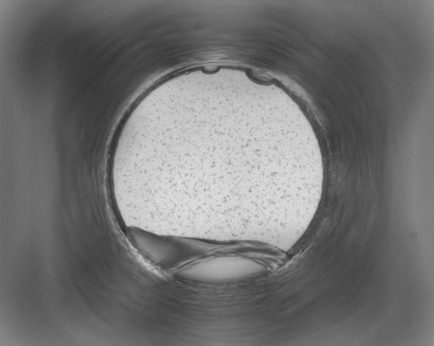 X0000082171333200702162251