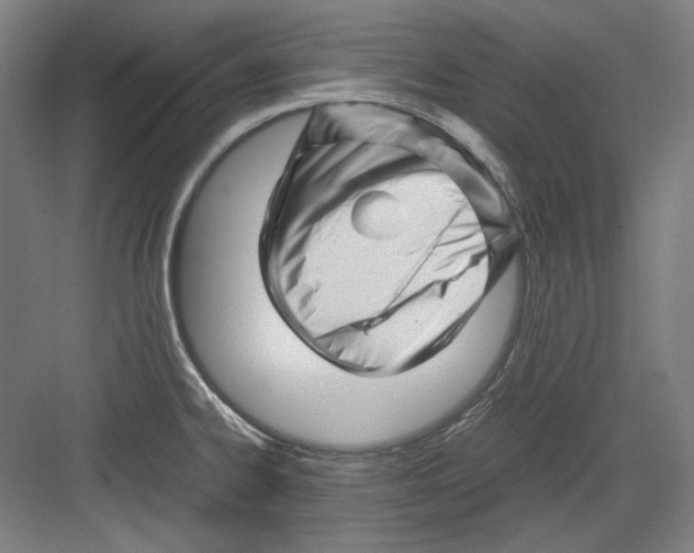 X0000082171334200702162251