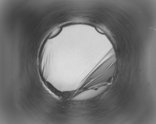 X0000082171335200702162251