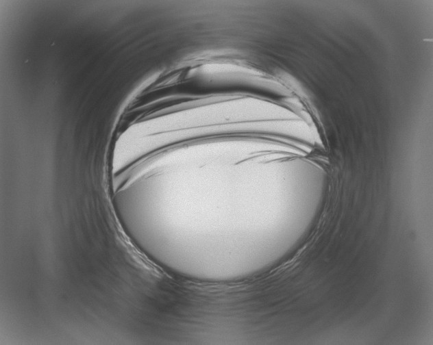 X0000082171336200702162251