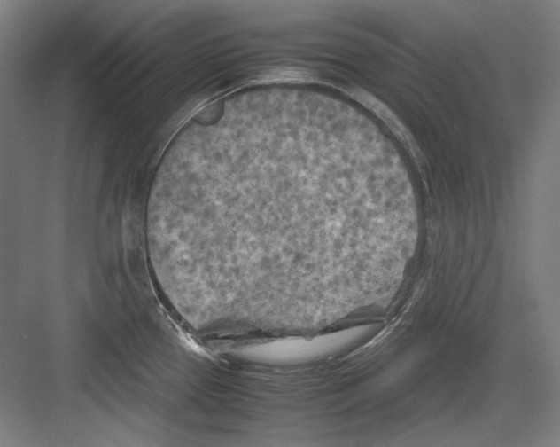 X0000082171337200702162251