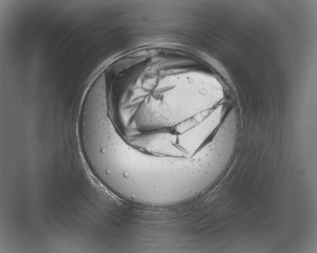 X0000082171338200702162251