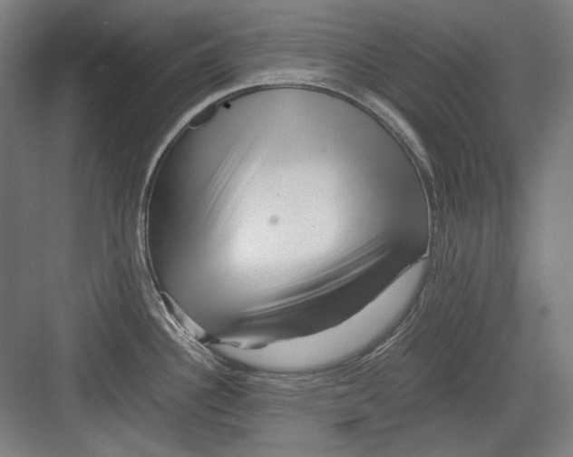 X0000082171340200702162251